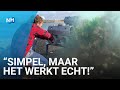 Kunstmatig rif in de Noordzee geplaatst