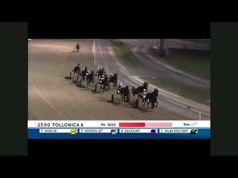 Premio Mago D'Amore- DECIMOMERIDIO GPD - 27/08/2022