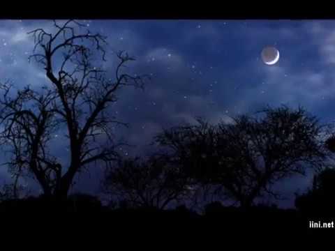 Ngày cổ tích - Hoàng Hoa