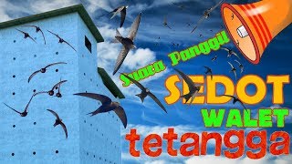 Download lagu SEDOT WALET TETANGGA Suara Panggil Banyak Versi Gratis Tak Bermahar mp3