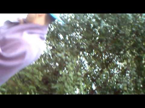 MottoRapBattle 2013 - Qualifikationsrunde - Silence