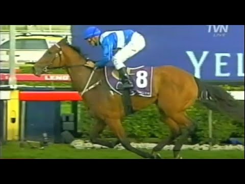 2010/2011 Season (3/9) George Main Stakes Day - Turnbull Stakes Day