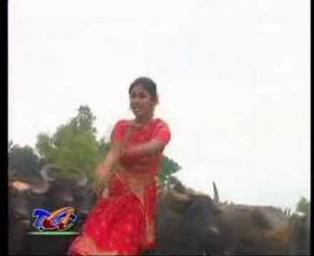 download lagu mp3 mp4 Music Gallery U Demra, download mp3 Music Gallery U Demra please feel free if you like to download, download here Music Gallery U Demra