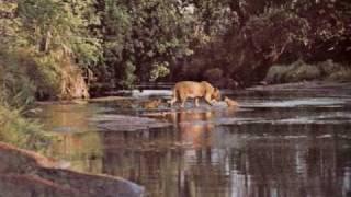 Mighty Sparrow - Born Free