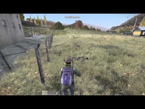 DayZ SA Invisible Bug 7