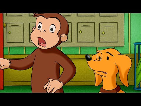 🎃 Perro asustadizo 🎃 EPISODIO COMPLETO 🎃 Jorge El Curioso En Español