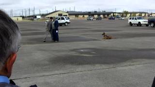 preview picture of video 'Security Forces attack dog training'