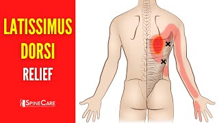 How to Fix Latissimus Dorsi Muscle Pain FOR GOOD