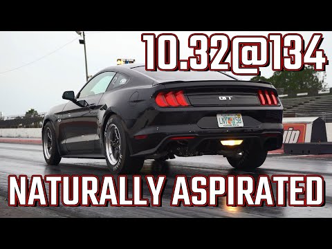 10.3@134 with ALL MOTOR 2019 Mustang GT - BMR Project Darkhorse