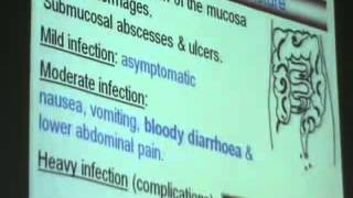 Dr Azza 10 23 11 2014   YouTube