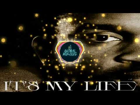 Dr Alban X Snap - It's My Life X Rhythm Is A Dancer (Mashup)