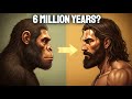 The Entire History of Human Evolution To Fall Asleep To | HISTORY FOR SLEEP DEFAULT Thumbnail