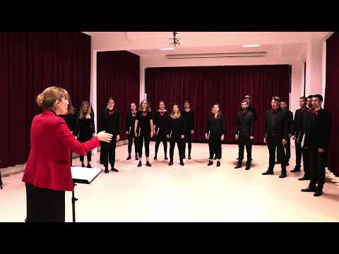 Mješoviti pjevački zbor Camerata Vocale Split