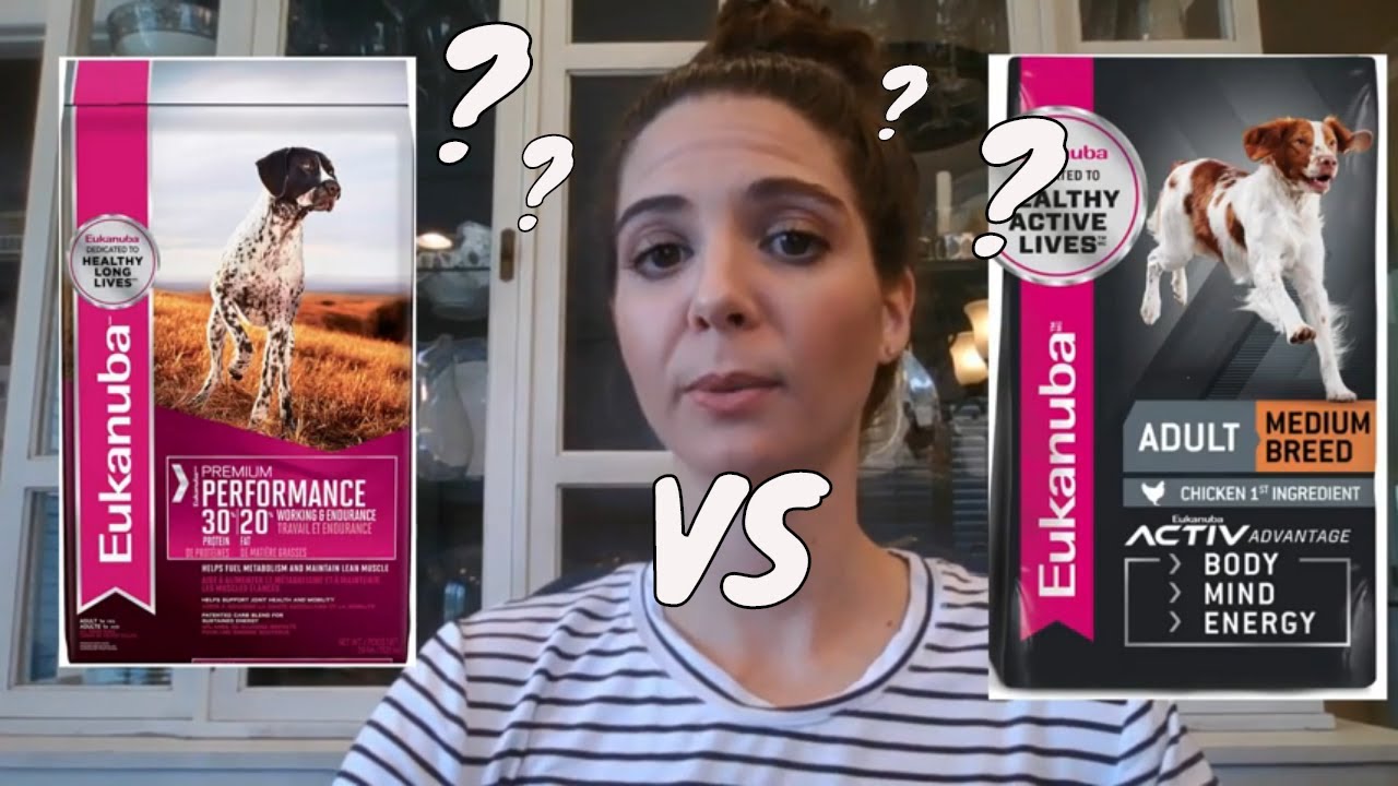 Eukanuba performance vs Eukanuba adult (dog food review)