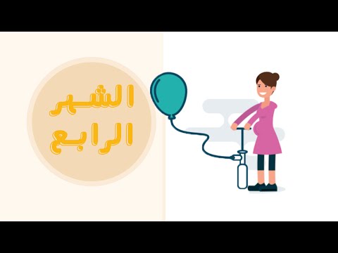 دليلك لمراحل تطور الحمل: الشهر الرابع | Month Four of your pregnancy هنا hana
