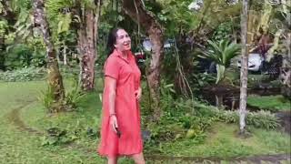 Download lagu Cover lagu 'Menua Bersamamu' ( Shandy Pagalla ) by Agung Elly mp3