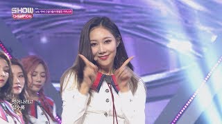 Show Champion EP.244 Dreamcatcher - Fly high [드림캐쳐 - 날아올라]