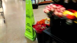 HW Hunting - Wegmans (Hunt Valley)