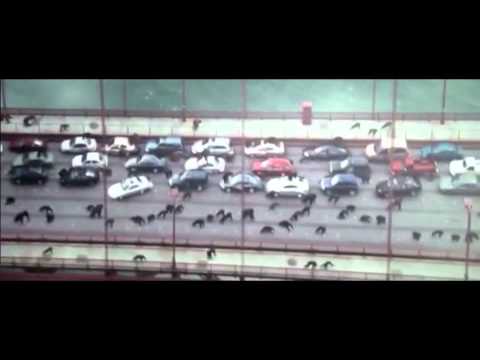 Planet of the Apes - Animal I Have Become