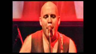 The Hoodoo Rhythm Devils : Don't Believe a Word - Vibe for Philo 2010