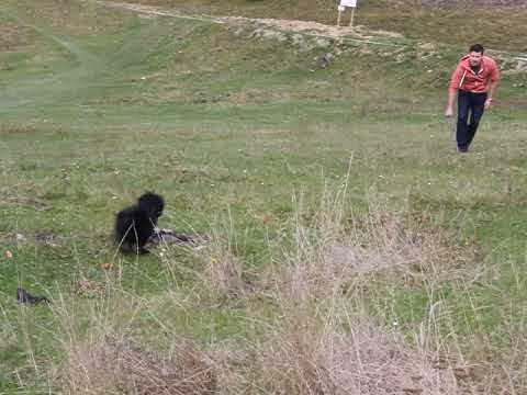 Ronel si batzul in Predeal