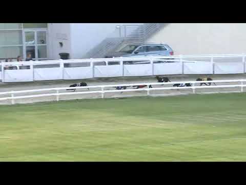 2022.06.03. 02. futam - Júniusi Trófea