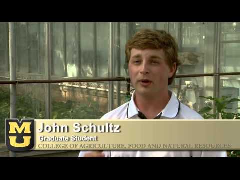 Need a weed identified?  There's an app for that!