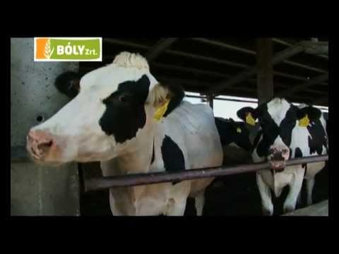 paraziták az emberi szem tüneteiben és kezelésében amelyet féreghajtó szerként használnak