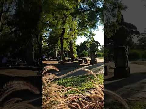 Hermosa tarde en el Parque Sarmiento Córdoba City Argentina 🇦🇷 #parque #sarmiento #city #cordoba