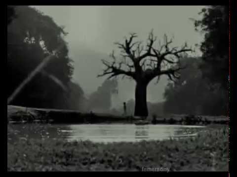 Beautiful - Sopor Aeternus & The Ensemble Of Shadows