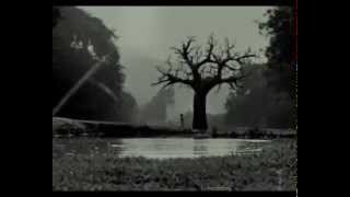 Beautiful - Sopor Aeternus & The Ensemble Of Shadows