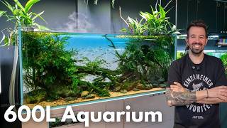 Wasserwechsel und Update vom Liquid Garden 160P