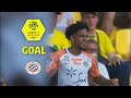 Goal Keagan DOLLY (51') / FC Nantes - Montpellier Hérault SC (0-2) (FCN-MHSC) / 2017-18