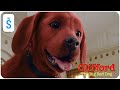Clifford The Big Red Dog 2021 Scene Clifford Humiliates Florence By Licking Her