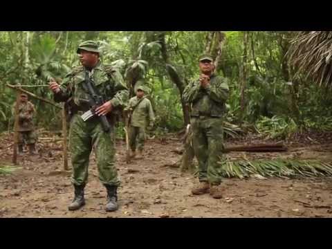 Military Jungle Warfare Training - US Marines In Belize