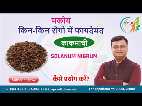Benefits of McCoy | The benefits of Makoy | Kakamachi | Solanum Nigrum | Dr. A.S. Prateek Agrawal...