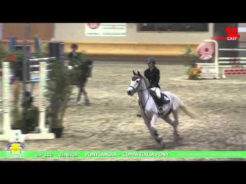 MARTA VIAGGI e GAME BOY -  Sommacampagna 04\12\2015-  BP 110