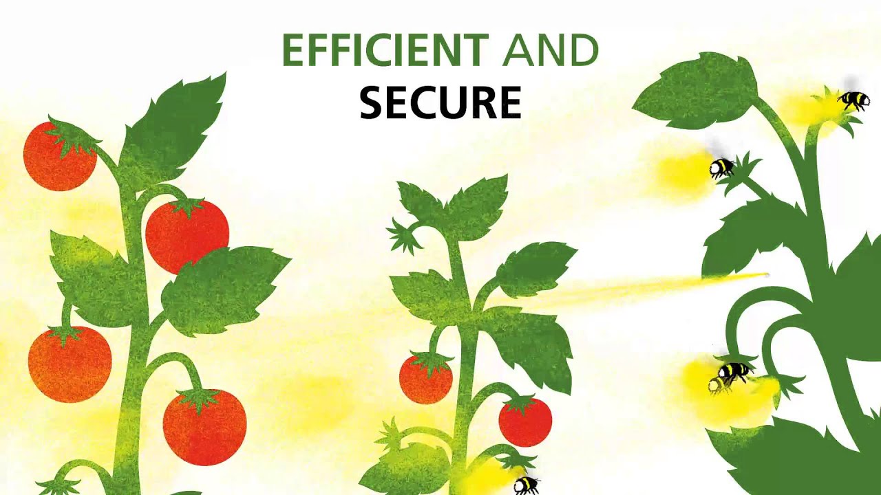 Video preview poster