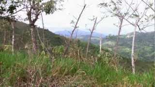 preview picture of video 'Paisaje de Yamasa, Republica Dominicana'