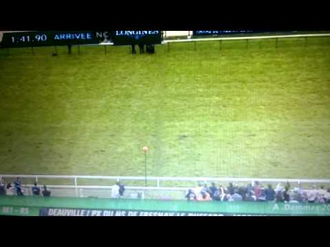 Prix Jacques le Marois 2014 - Kingman(Narração em Português)
