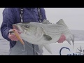 60 Second How To Topwater Stripers With Poppers