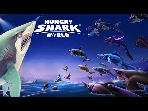 XXL Shark Great White Ace Shark Live Contest !! - Hungry Shark World