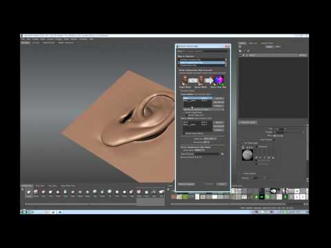 トゥジャを置き換える植物はどれですか アマチュア 針葉樹 ダグラスファー 中央山塊 湿度 土壌 空気