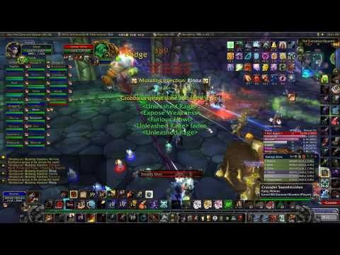 Naxxramas (25) - Grobbulus (Widescreen HD) (May 29th, 2009)