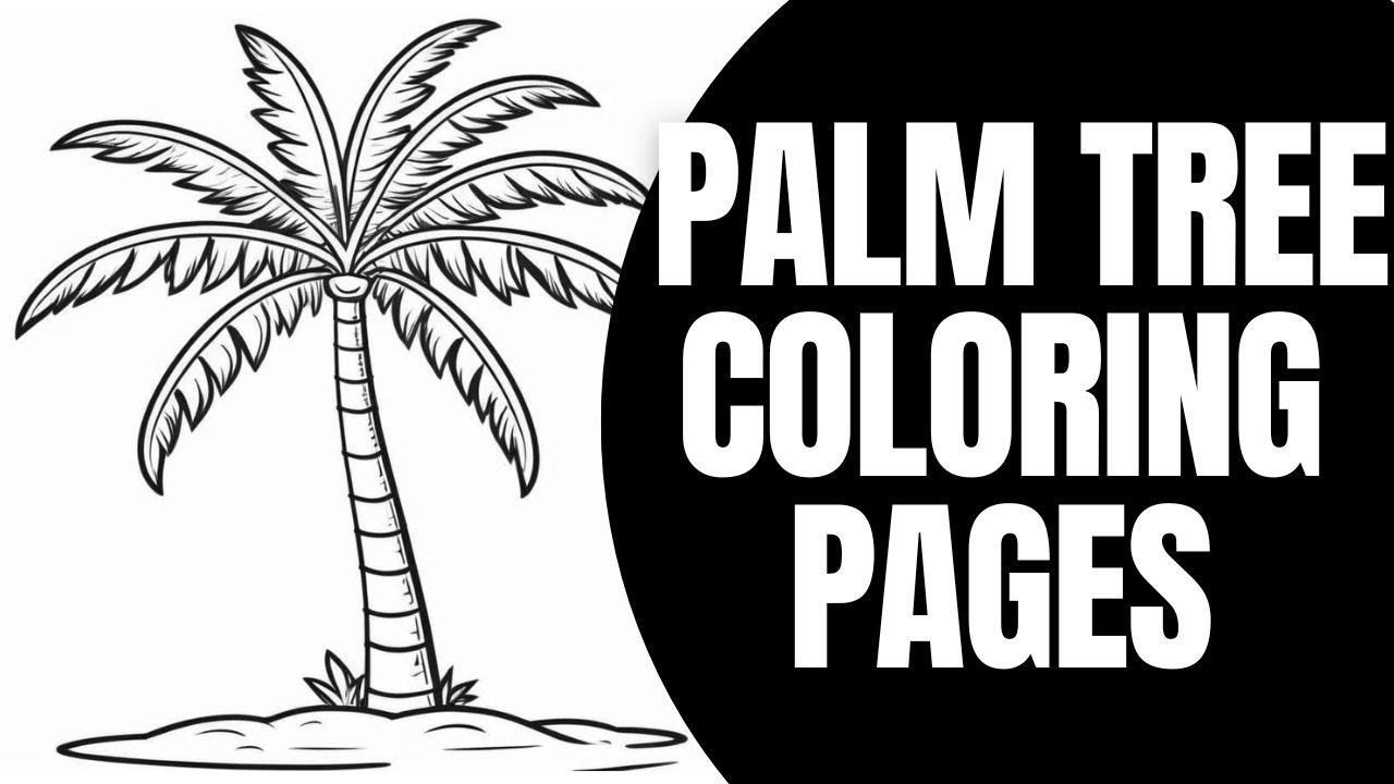 +65 Palm Tree Coloring Pages (100% Free Printables)