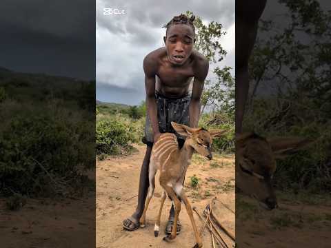 Rahasia Panah Kecil 😱 Cara Adivasi Mengalahkan Hewan Besar! #shorts