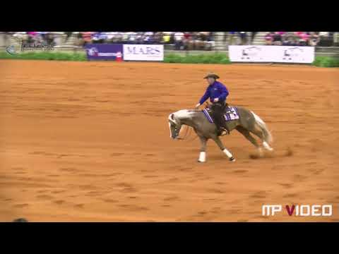 Jordan Larson and ARC Gunnabeabigstar WEG Individual 2018