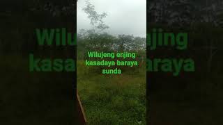 Download lagu wilujeng enjing Baraya sunda mp3