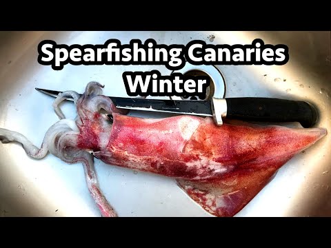 Spearfishing Canaries - Gran Canaria - Winter & Travel while Corona