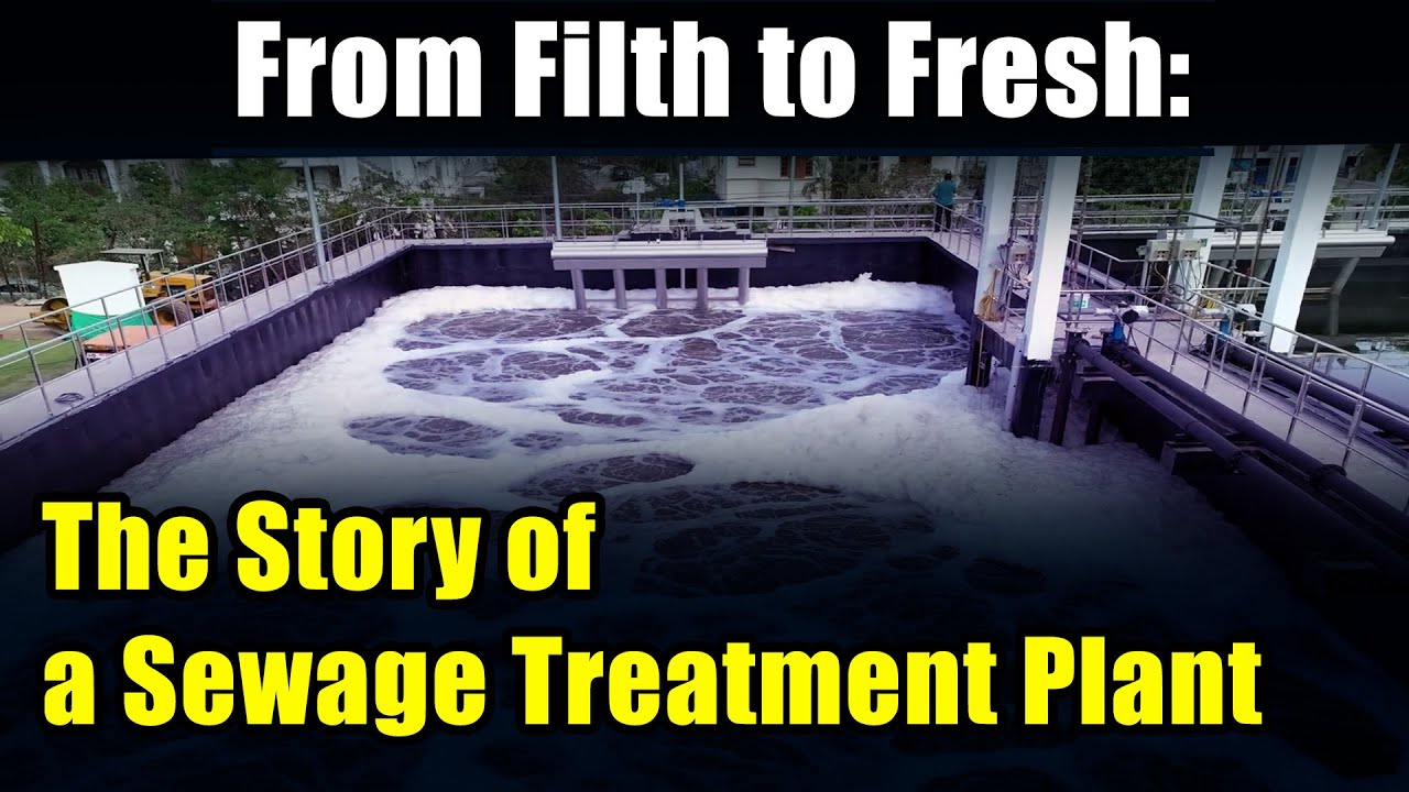 From Filth to Fresh: The Story of a Sewage Treatment Plant